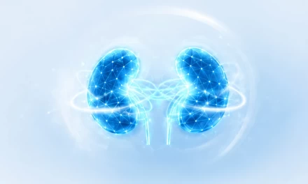 Profil Renal